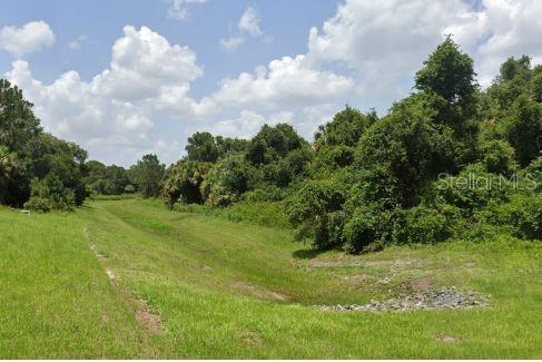 Image 4 of 7 For Ananas Road