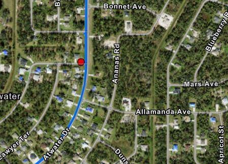 Image 7 of 7 For Ananas Road