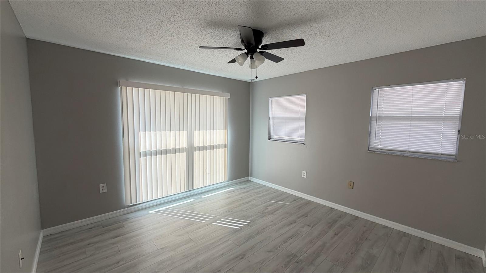 Image 5 of 23 For 28434 Silver Palm