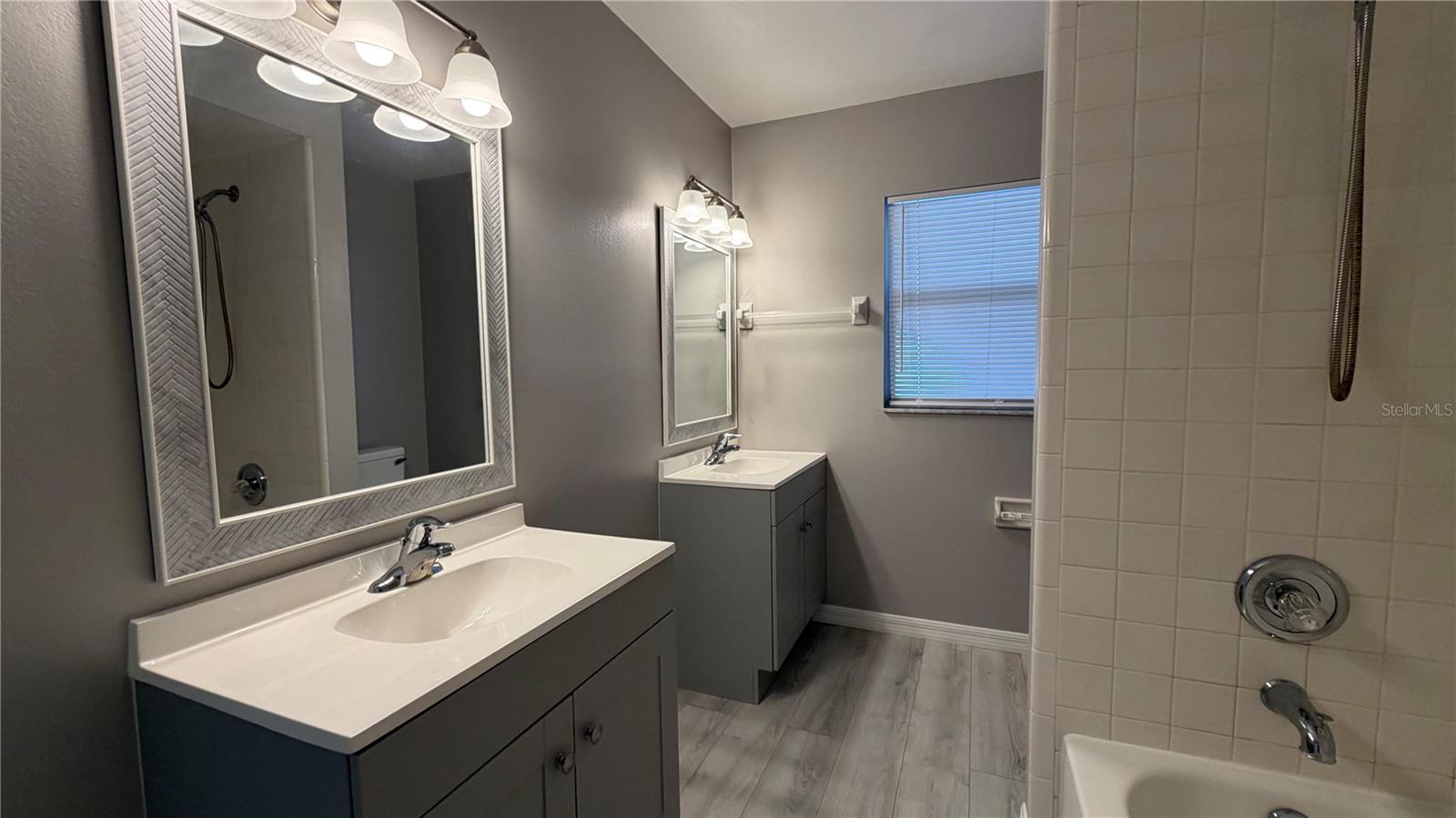 Image 8 of 23 For 28434 Silver Palm