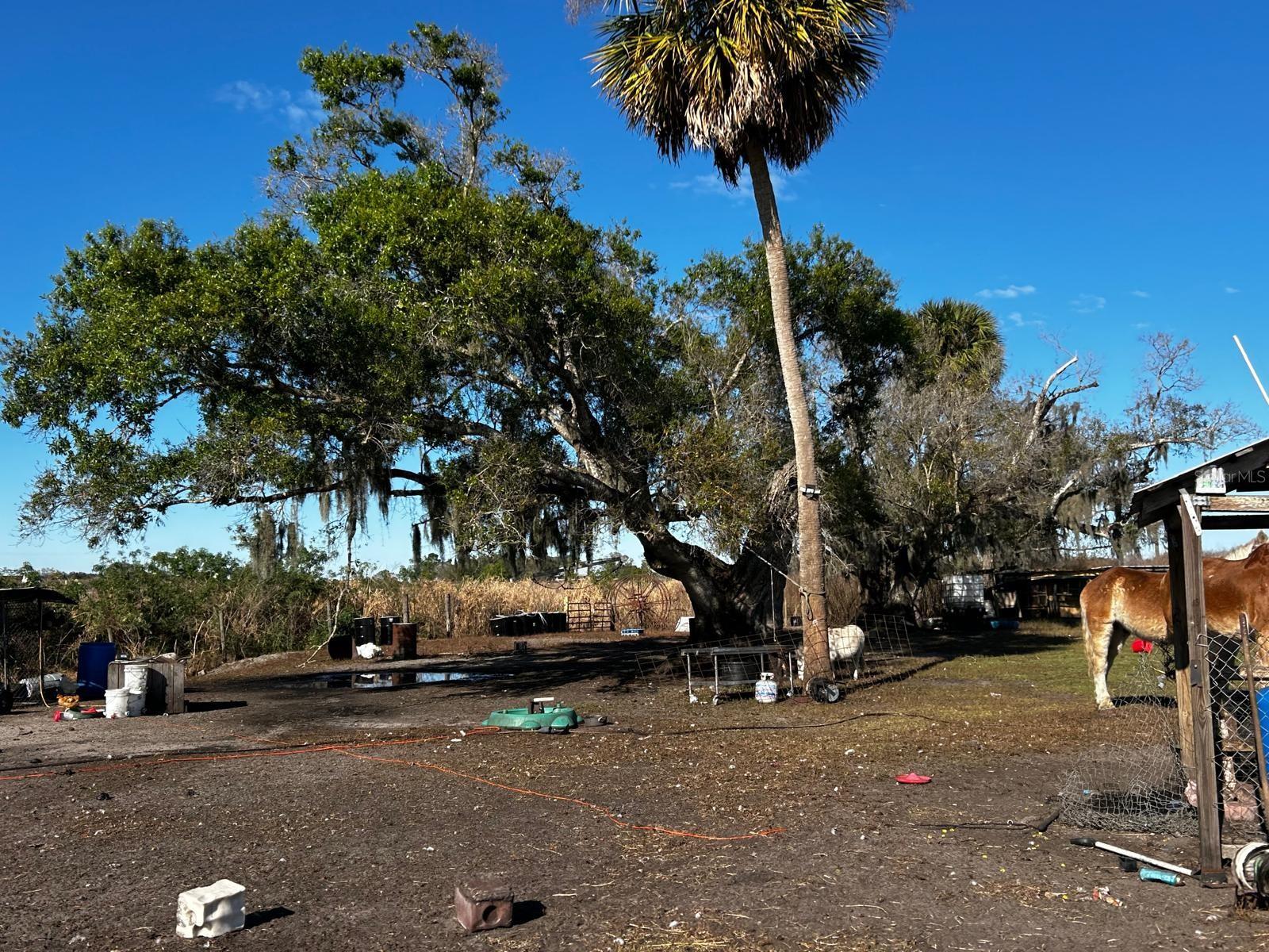 Image 10 of 40 For 15080 12th Terrace