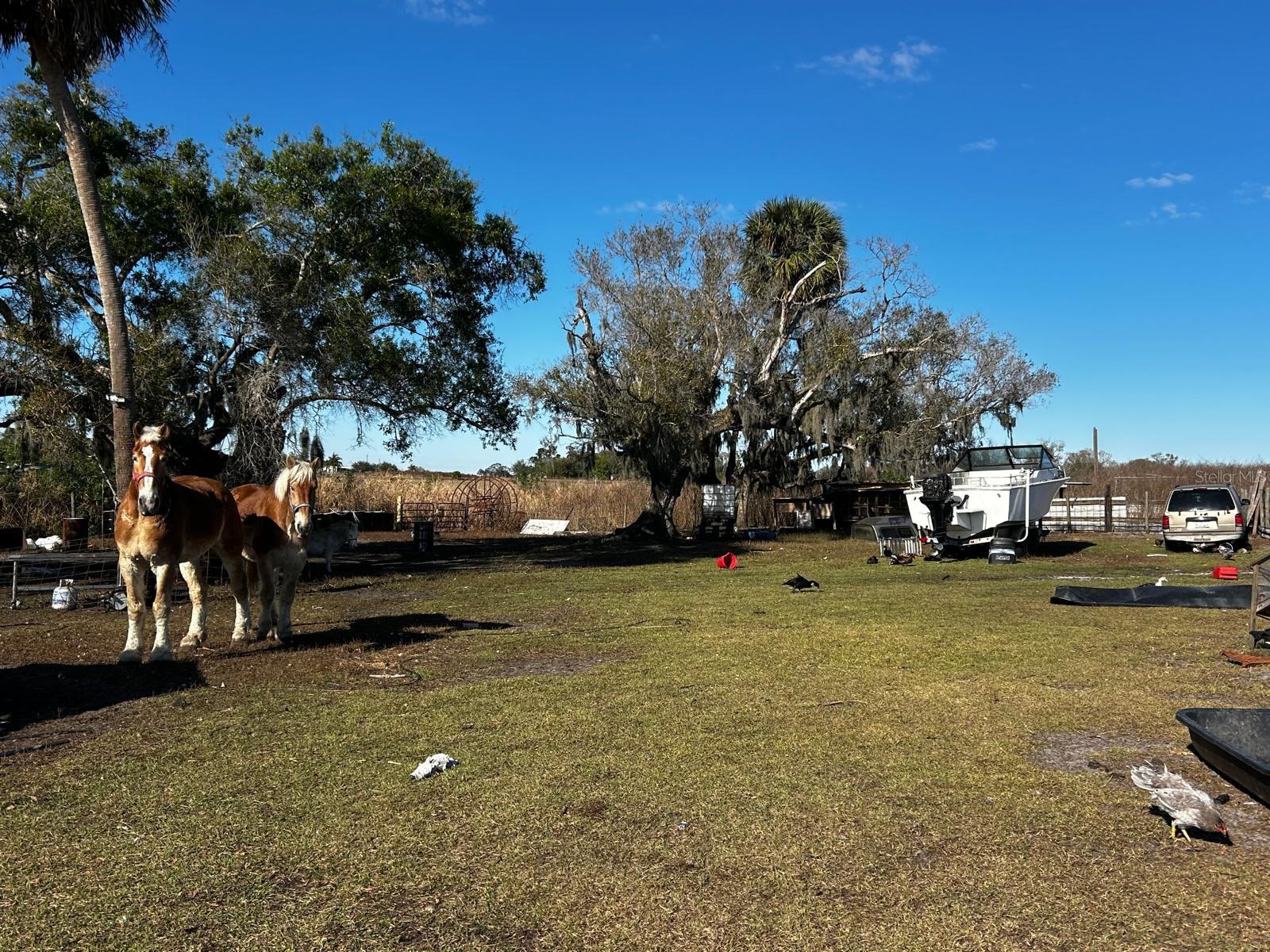 Image 16 of 40 For 15080 12th Terrace