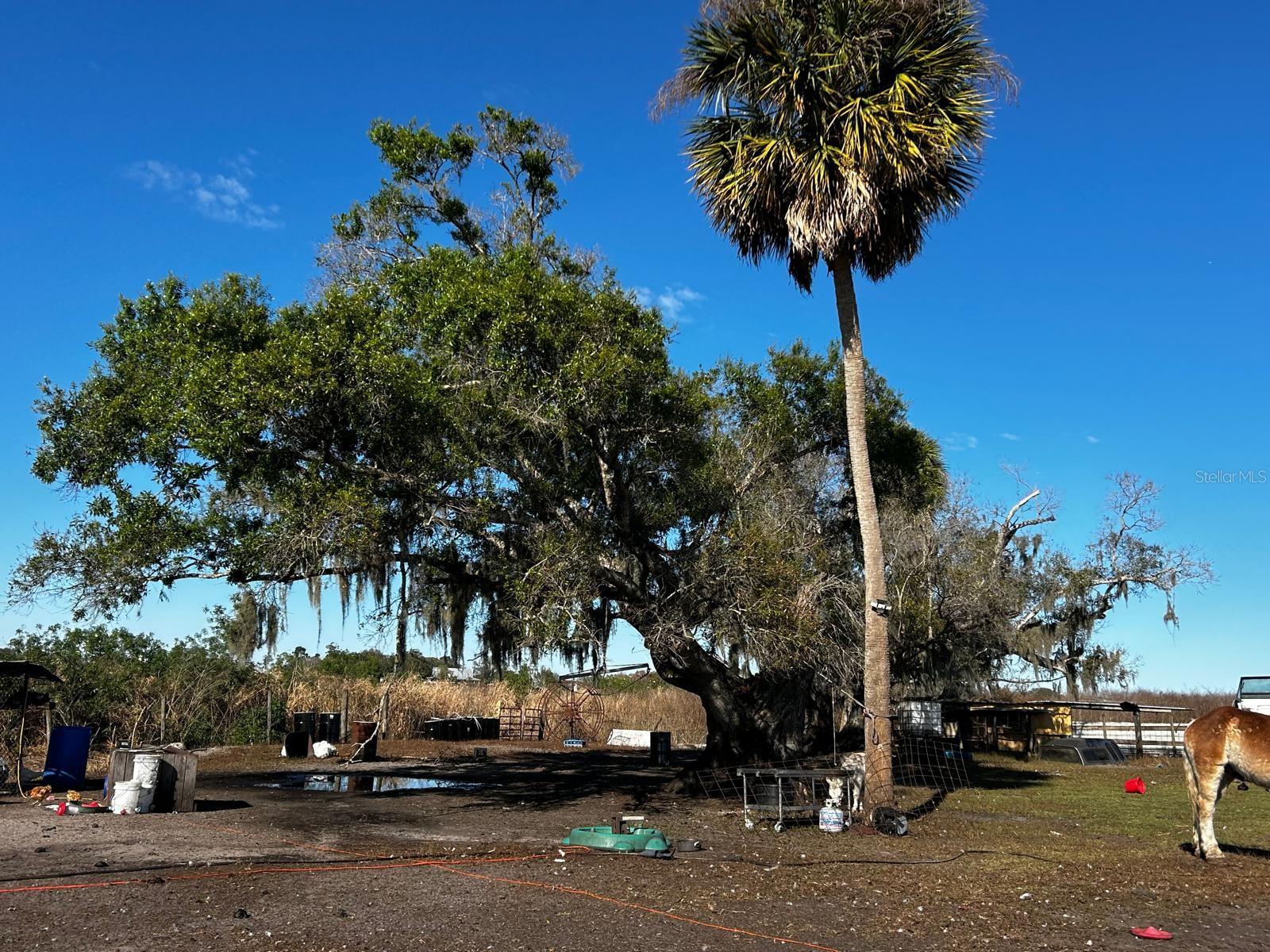 Image 17 of 40 For 15080 12th Terrace