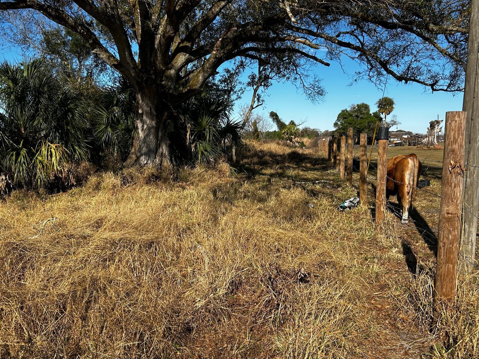 Image 21 of 40 For 15080 12th Terrace