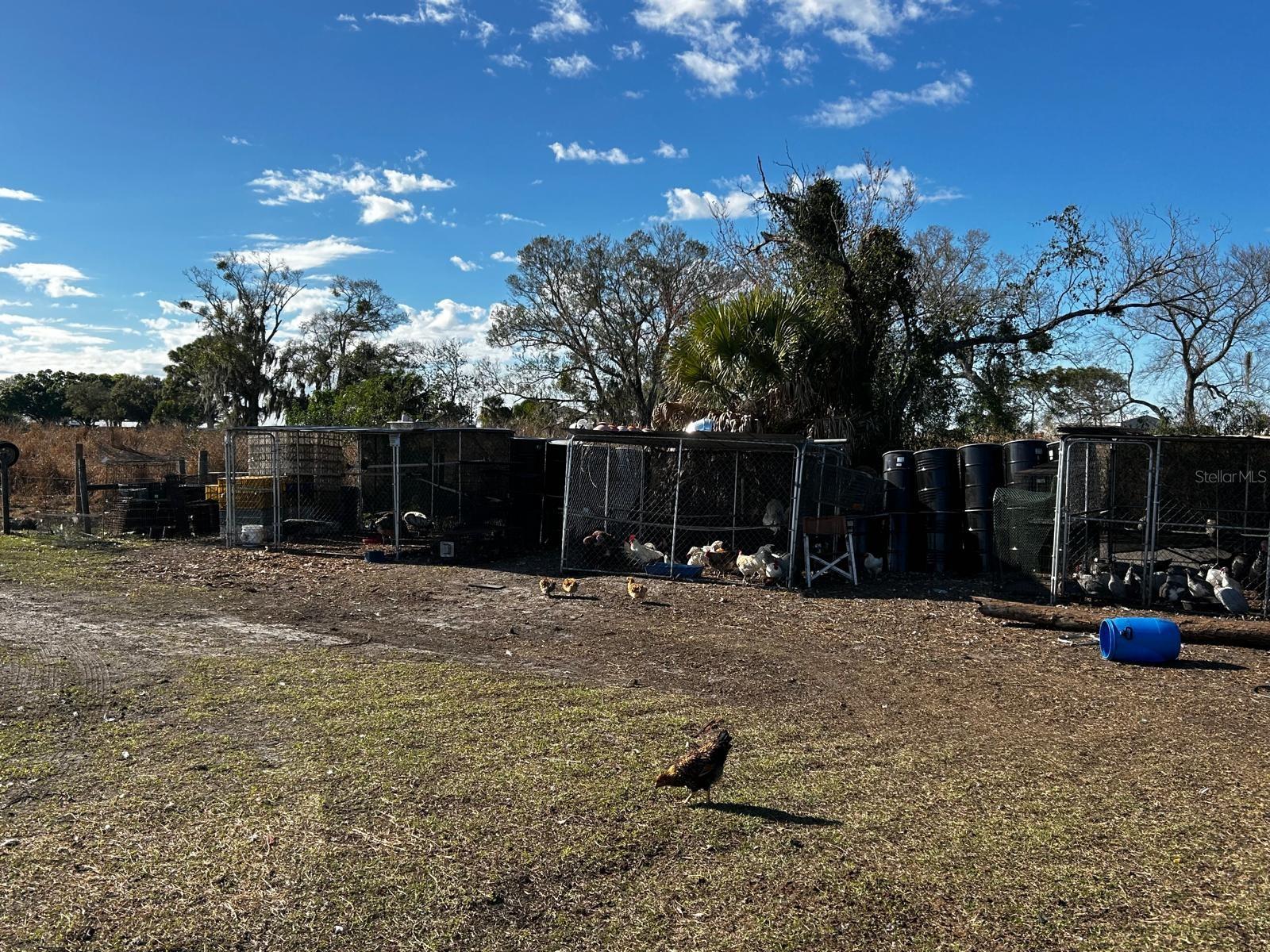 Image 29 of 40 For 15080 12th Terrace