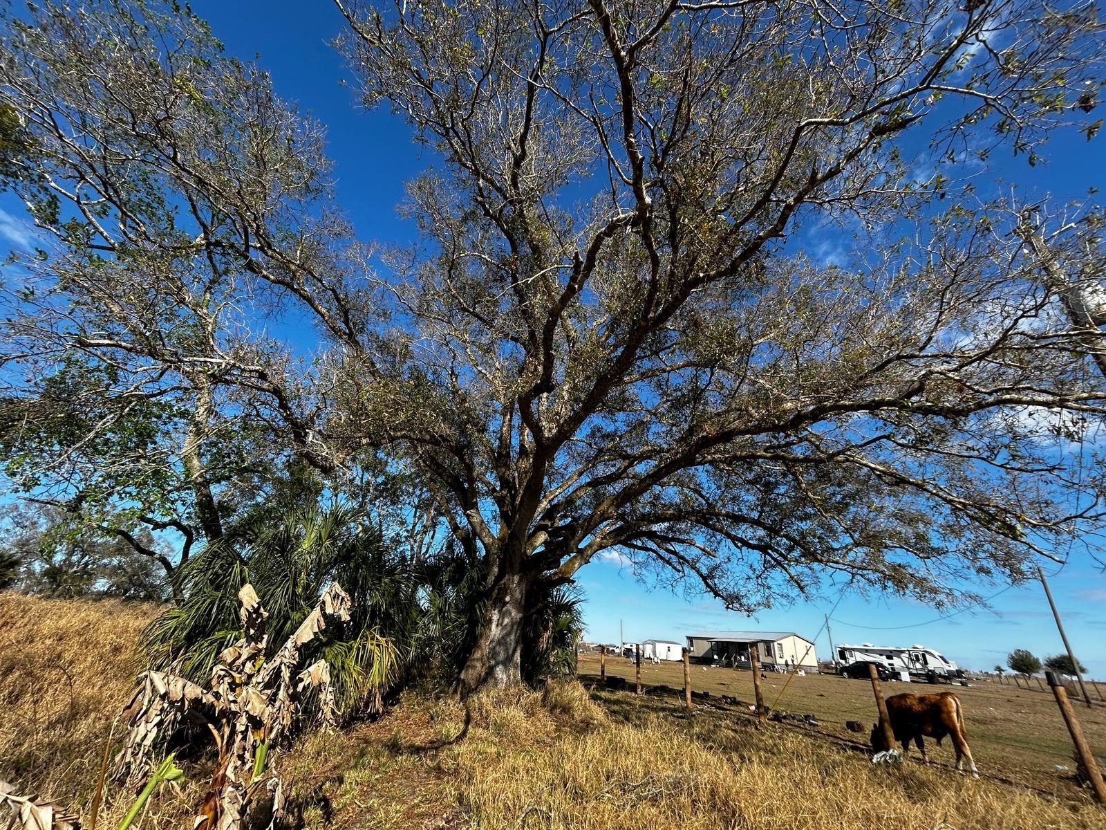 Image 37 of 40 For 15080 12th Terrace