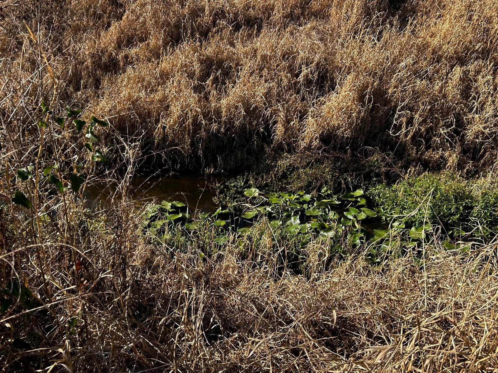 Image 38 of 40 For 15080 12th Terrace