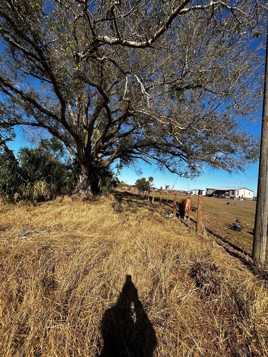 Image 39 of 40 For 15080 12th Terrace