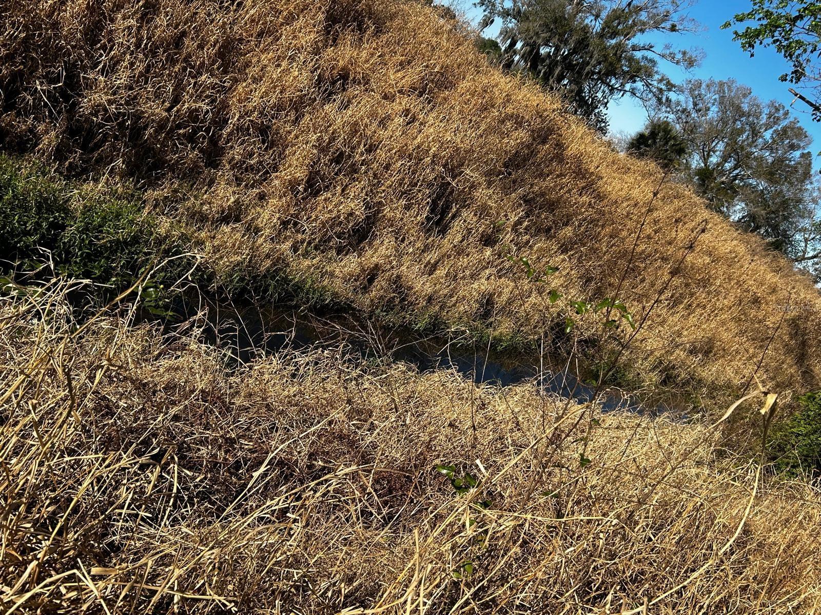 Image 40 of 40 For 15080 12th Terrace