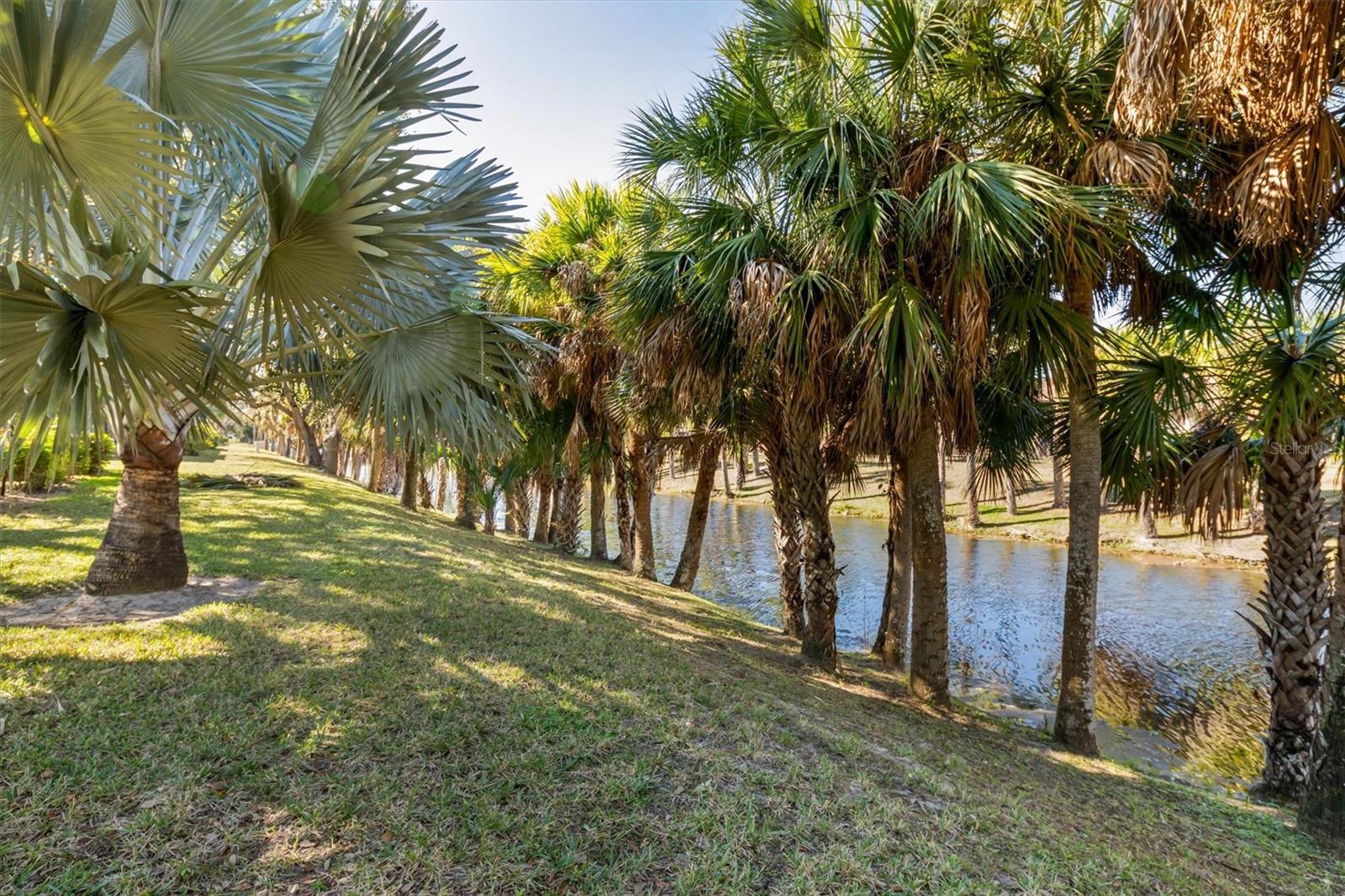 Image 31 of 47 For 1515 Forrest Nelson Boulevard O104