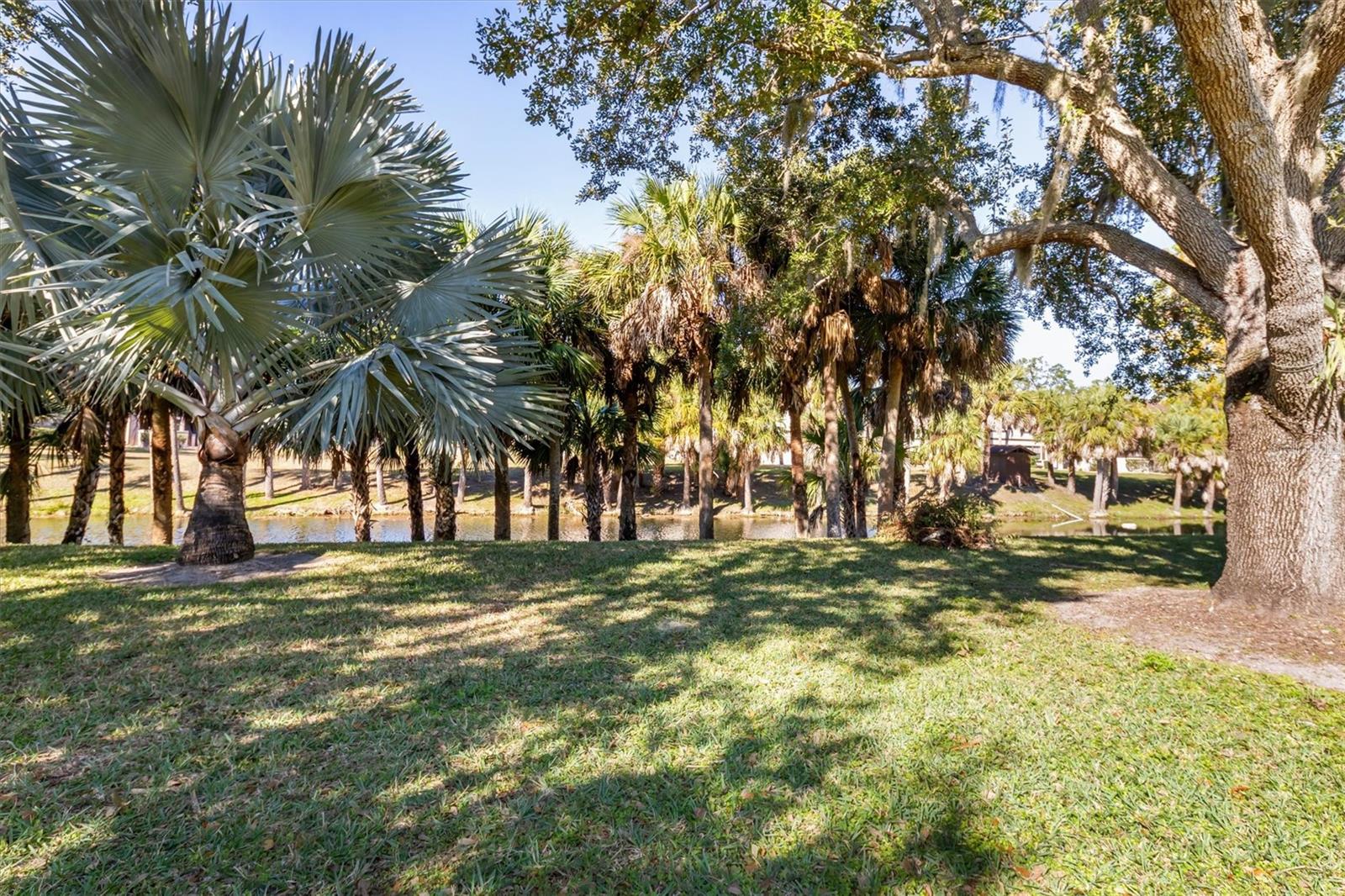 Image 32 of 47 For 1515 Forrest Nelson Boulevard O104