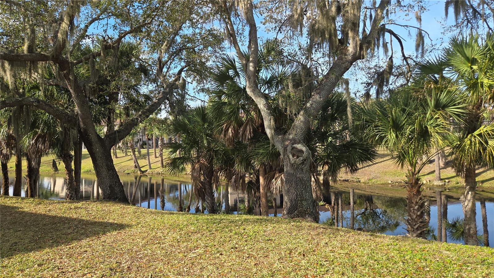 Image 45 of 47 For 1515 Forrest Nelson Boulevard O104