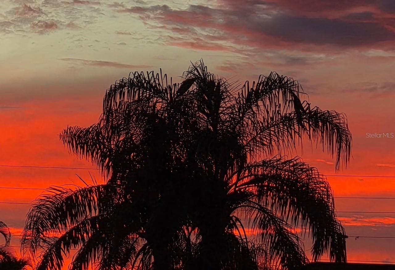 Image 41 of 54 For 387 Viceroy Terrace