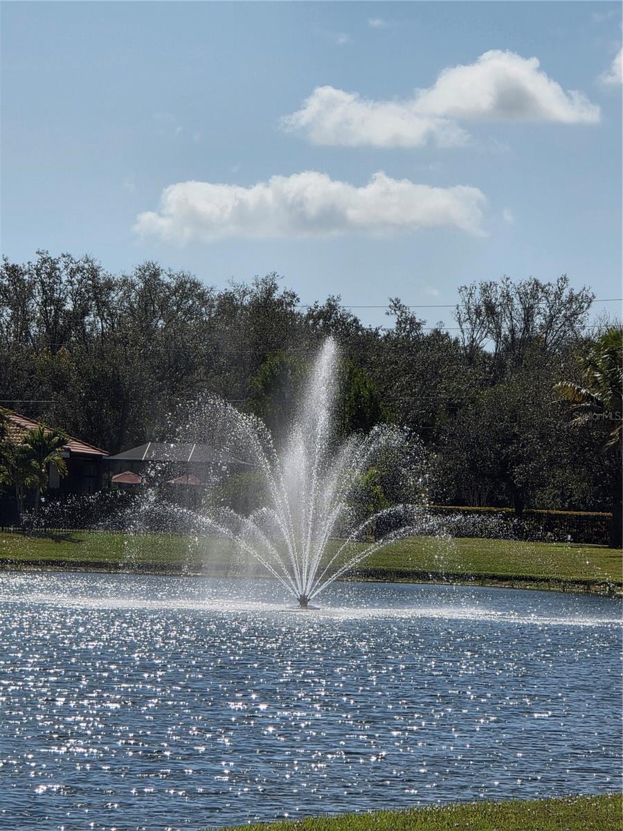 Image 31 of 42 For 7341 Mikasa Drive