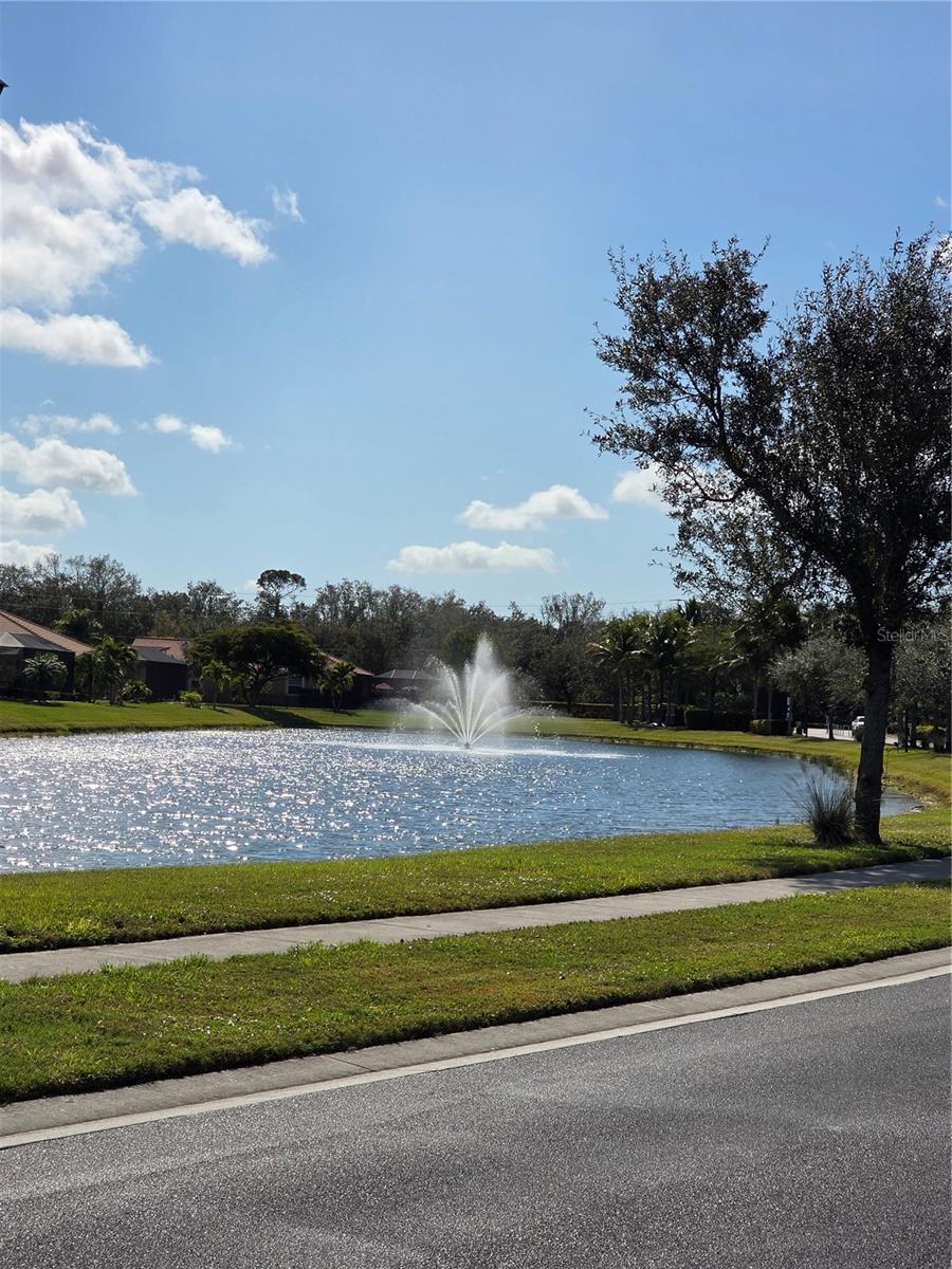 Image 32 of 42 For 7341 Mikasa Drive