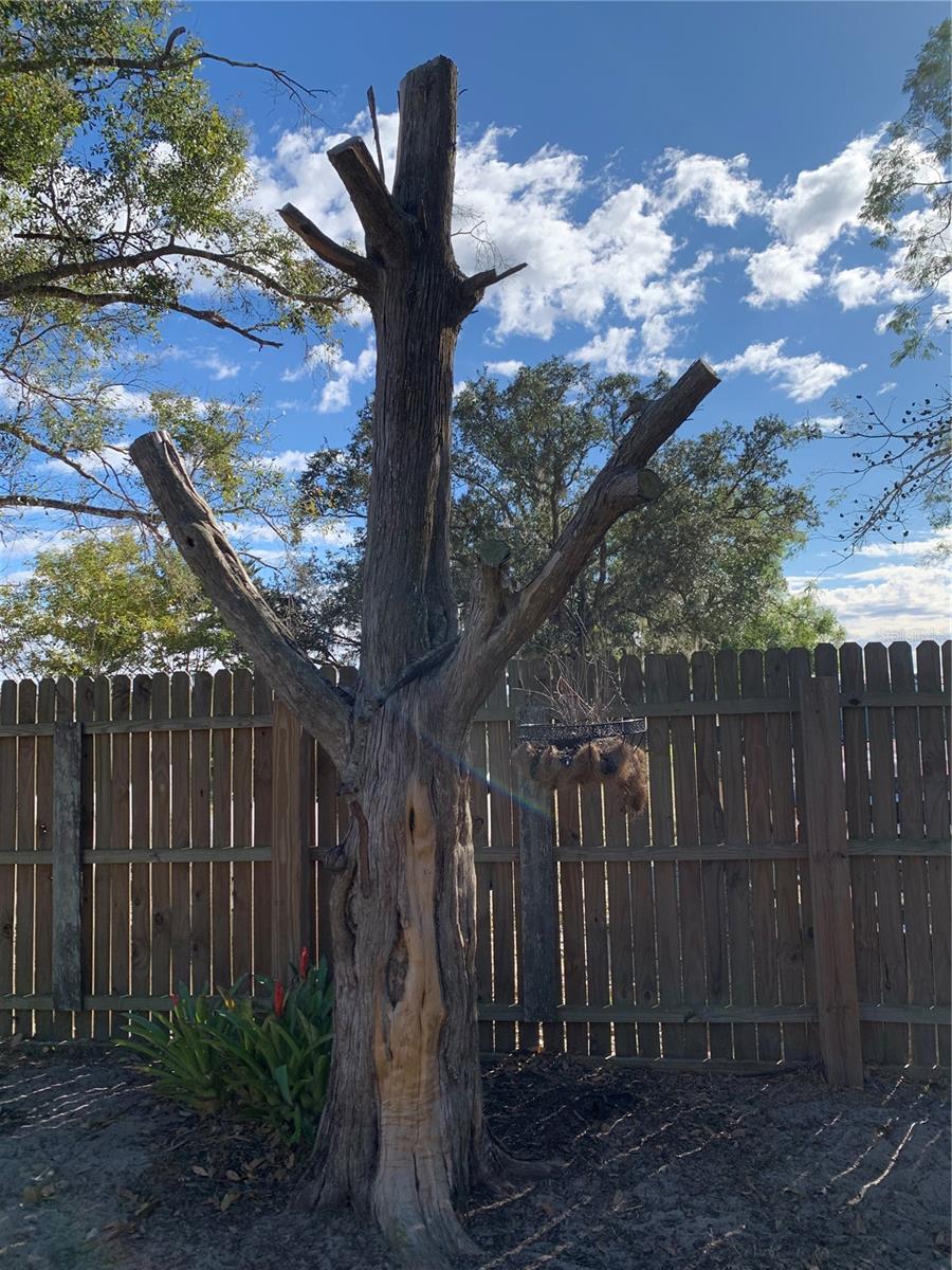 Image 37 of 39 For 5933 County Road 660