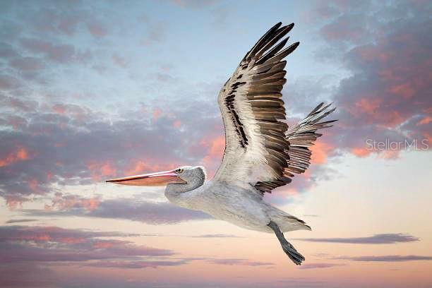 Image 80 of 81 For 77 Medalist Road