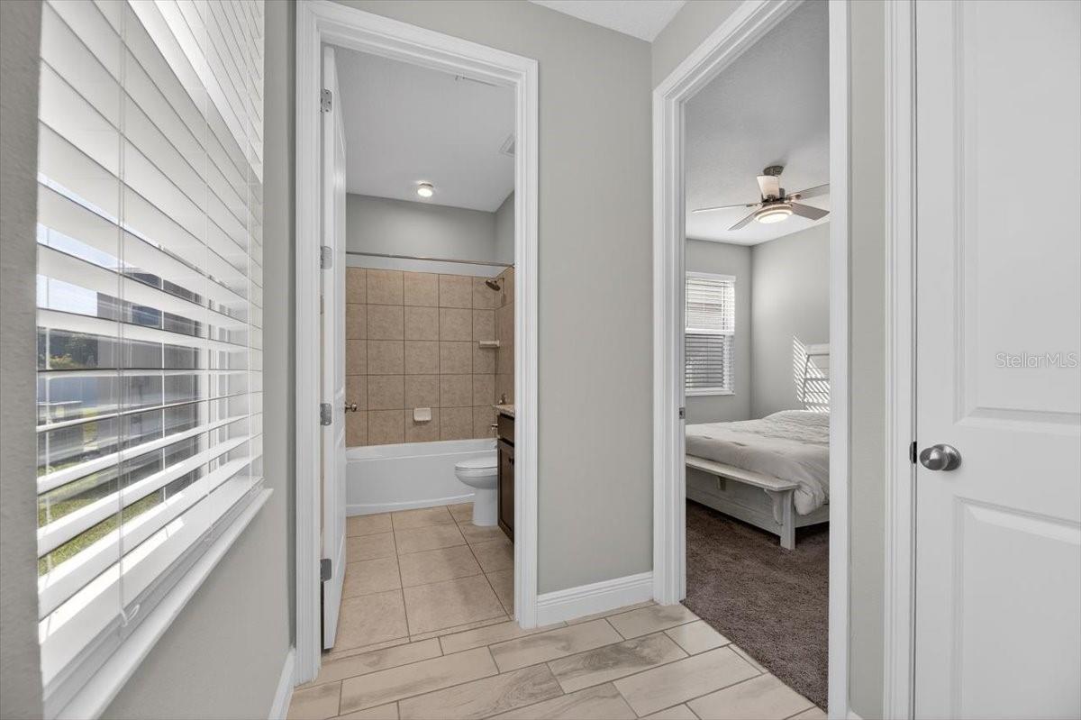 Image 18 of 51 For 8816 Mugnai Street