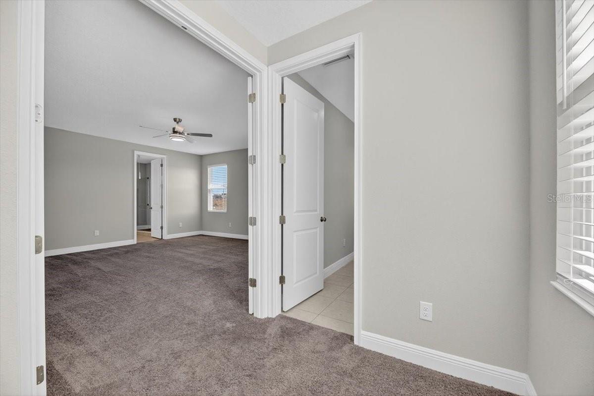 Image 26 of 51 For 8816 Mugnai Street