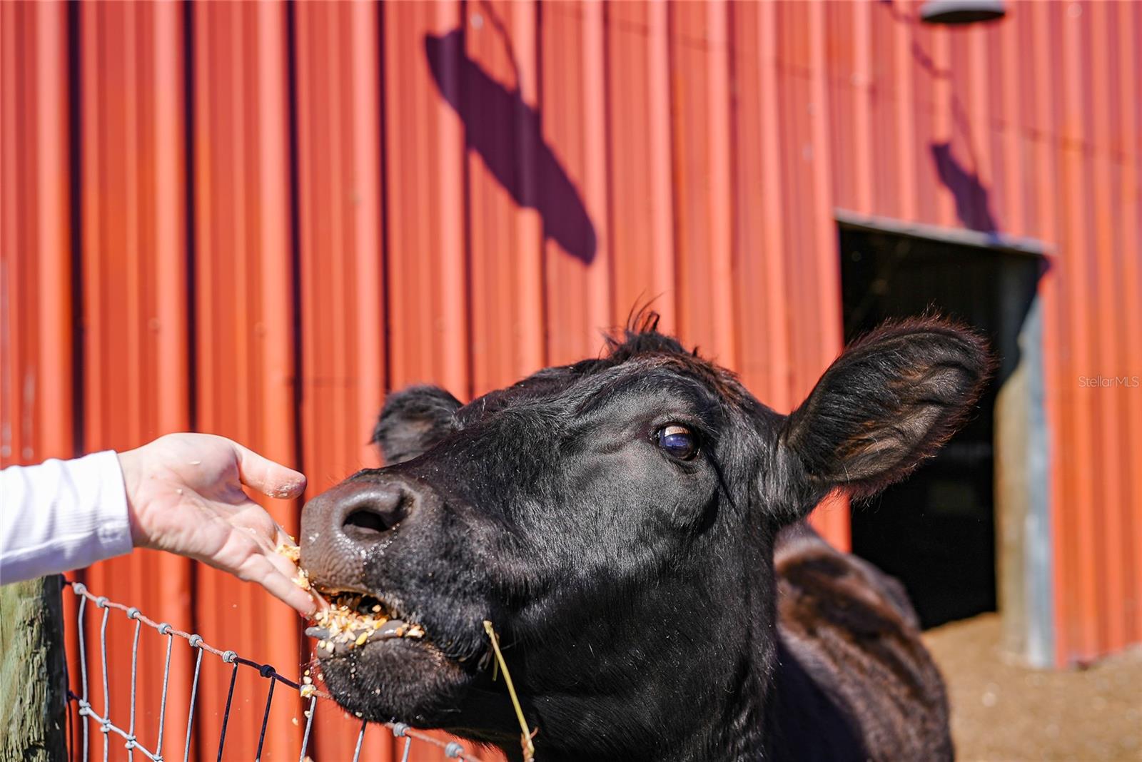 Image 55 of 64 For 9931 English Avenue