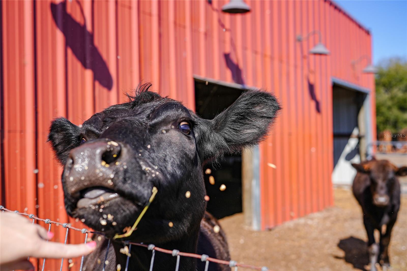 Image 56 of 64 For 9931 English Avenue