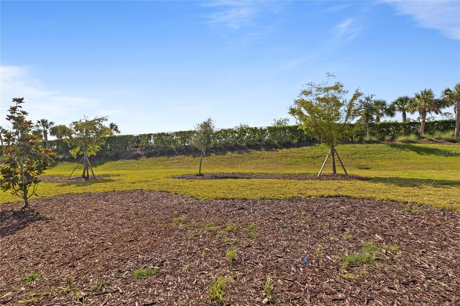 Image 34 of 34 For 9136 Tequila Sunrise Drive