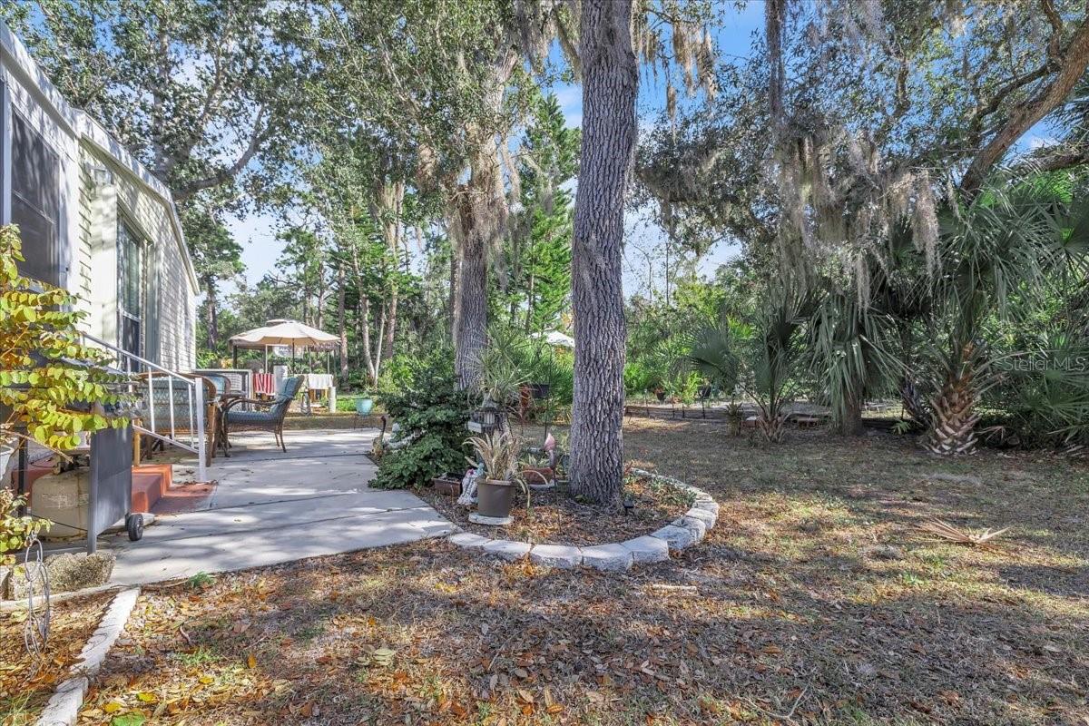 Image 31 of 46 For 27205 Jones Loop Road 41