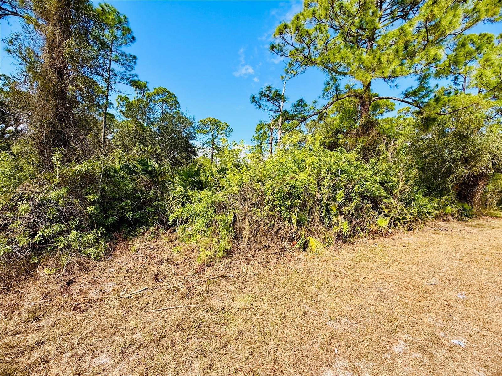 Details for 2007 Truman Avenue, ALVA, FL 33920