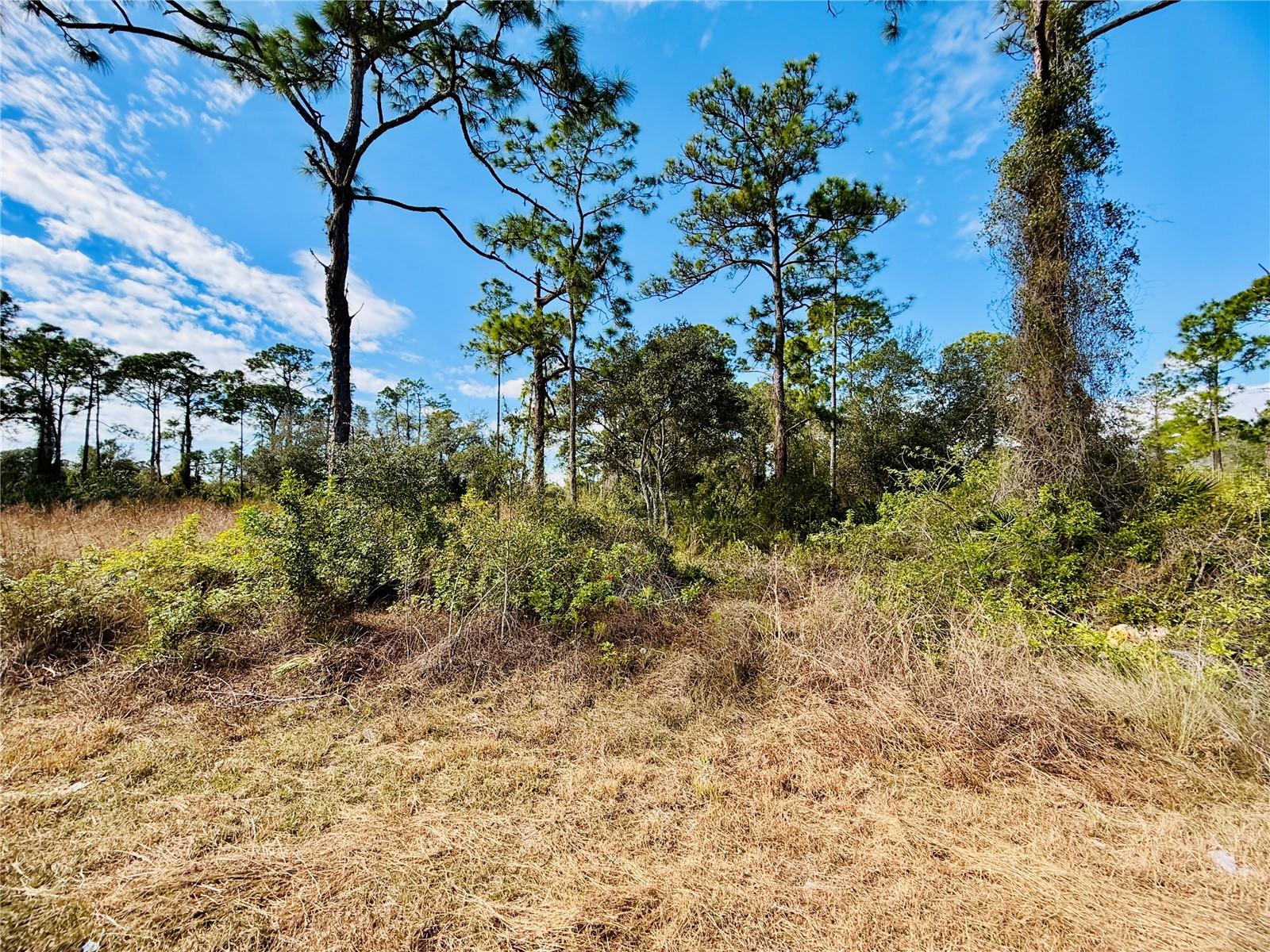 Image 2 of 6 For 2007 Truman Avenue