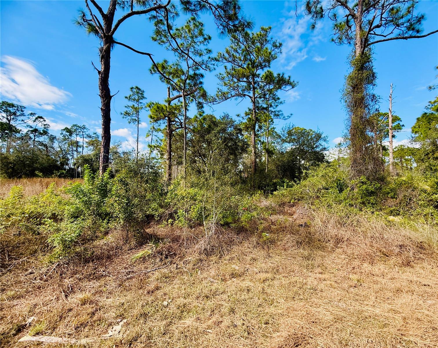 Image 3 of 6 For 2007 Truman Avenue