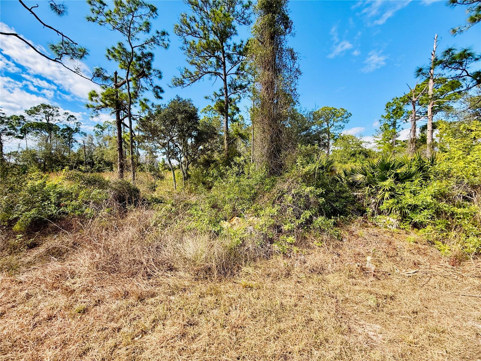 Image 4 of 6 For 2007 Truman Avenue