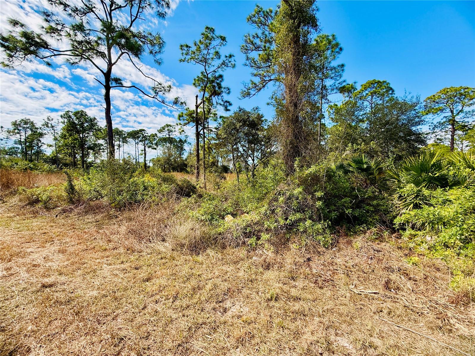 Image 5 of 6 For 2007 Truman Avenue