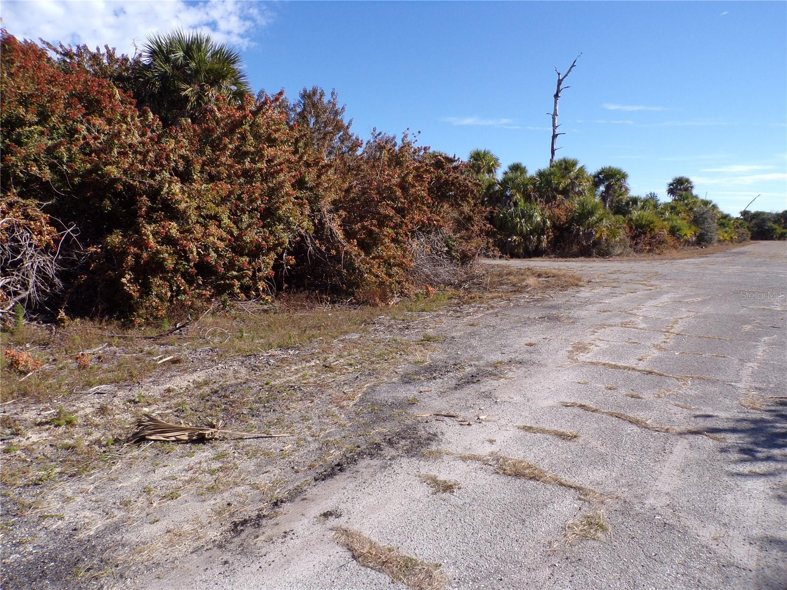 Image 5 of 11 For Crimsonglory Road