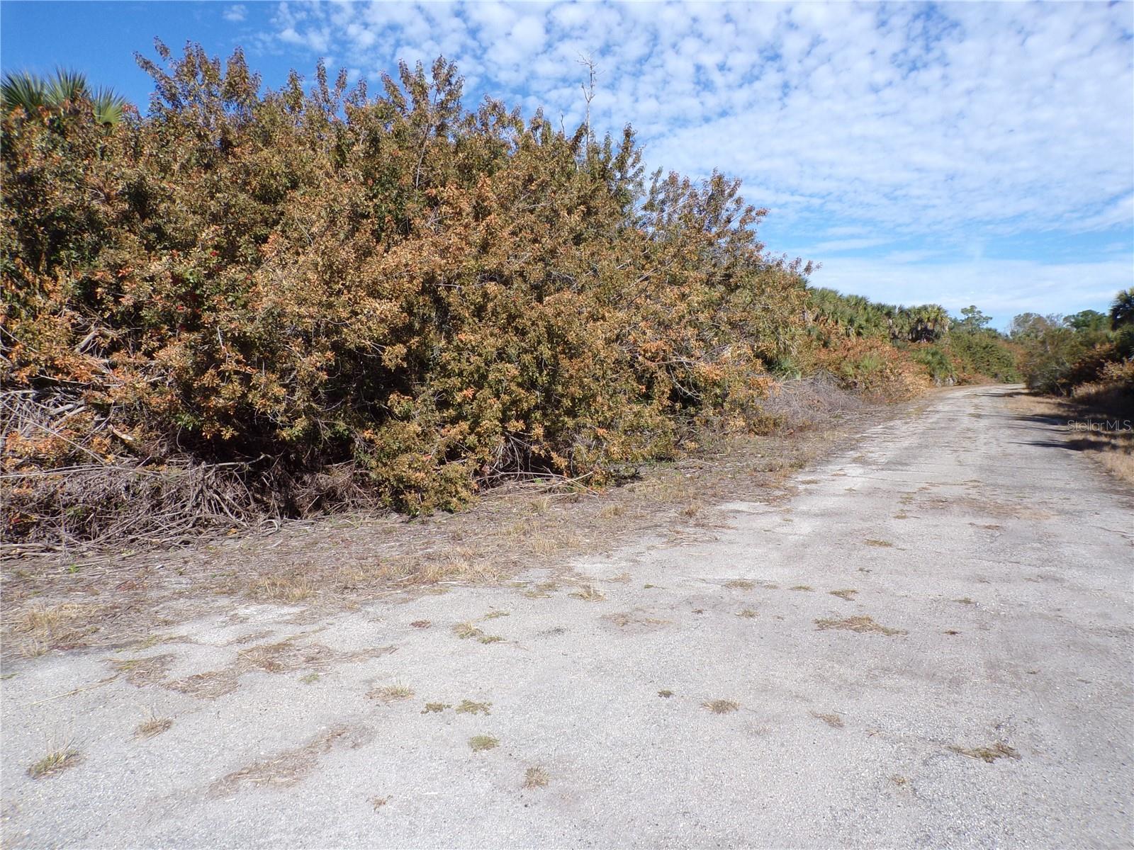 Image 7 of 11 For Crimsonglory Road