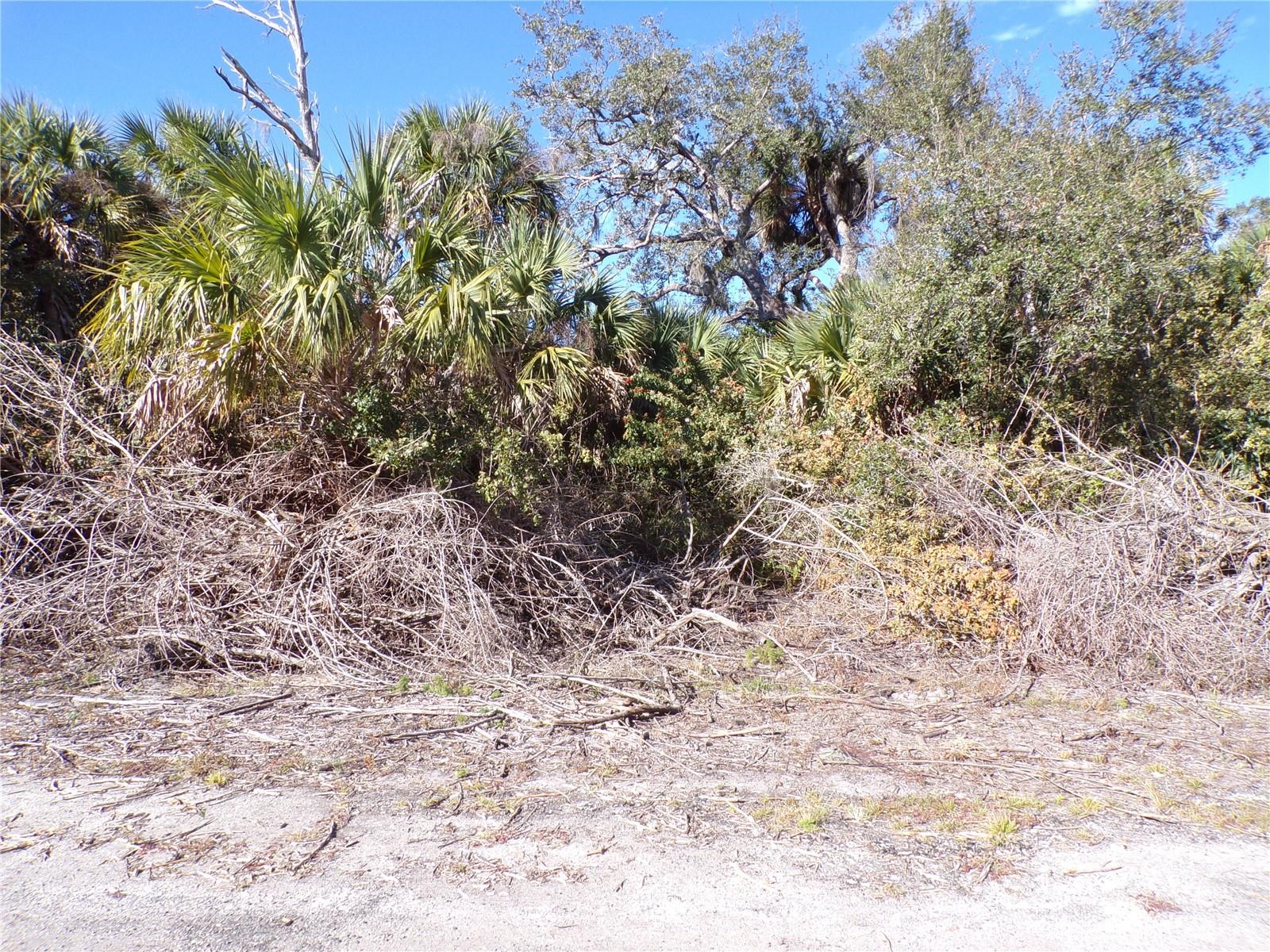 Image 8 of 11 For Crimsonglory Road