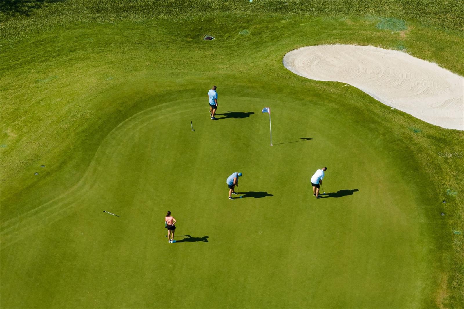 Image 36 of 49 For 14186 Poppy Field Loop 4911