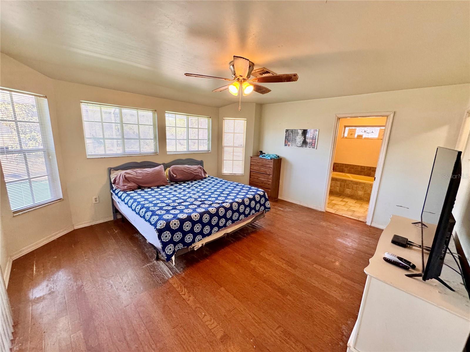 Image 12 of 44 For 528 Tabebuia Tree