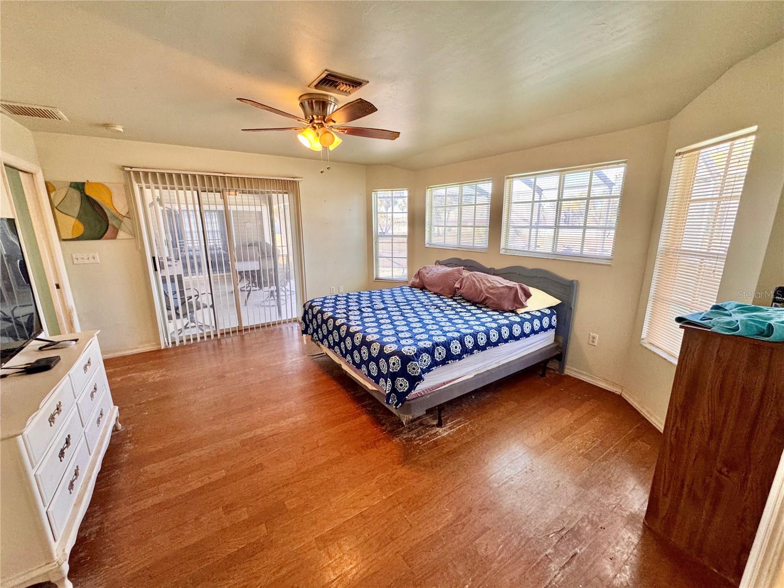 Image 13 of 44 For 528 Tabebuia Tree