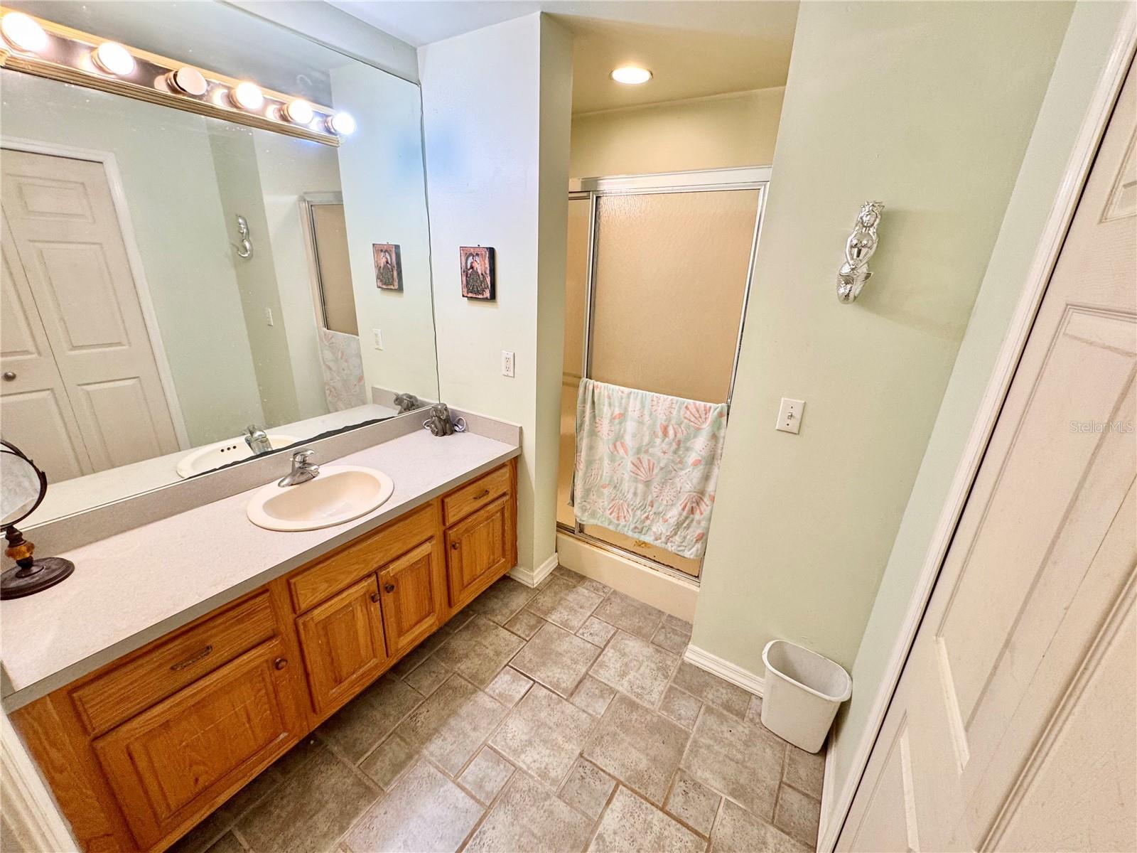 Image 14 of 44 For 528 Tabebuia Tree