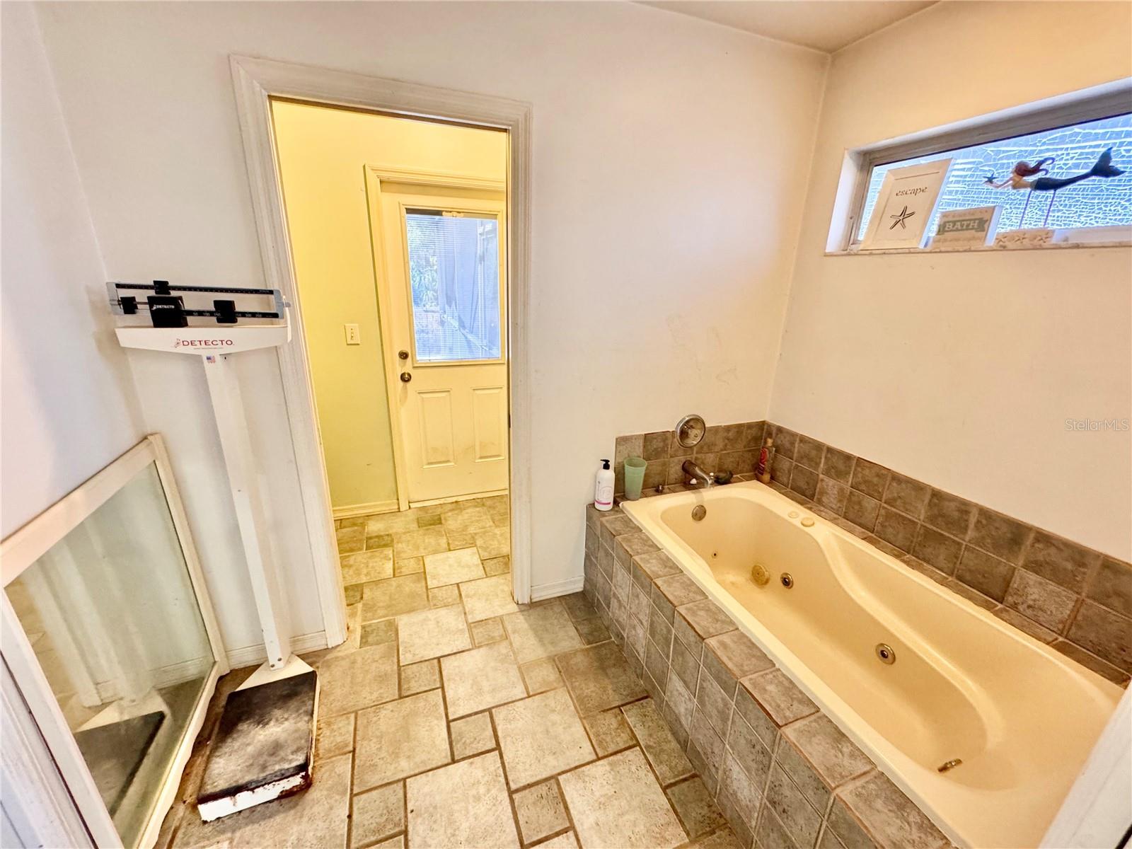 Image 15 of 44 For 528 Tabebuia Tree