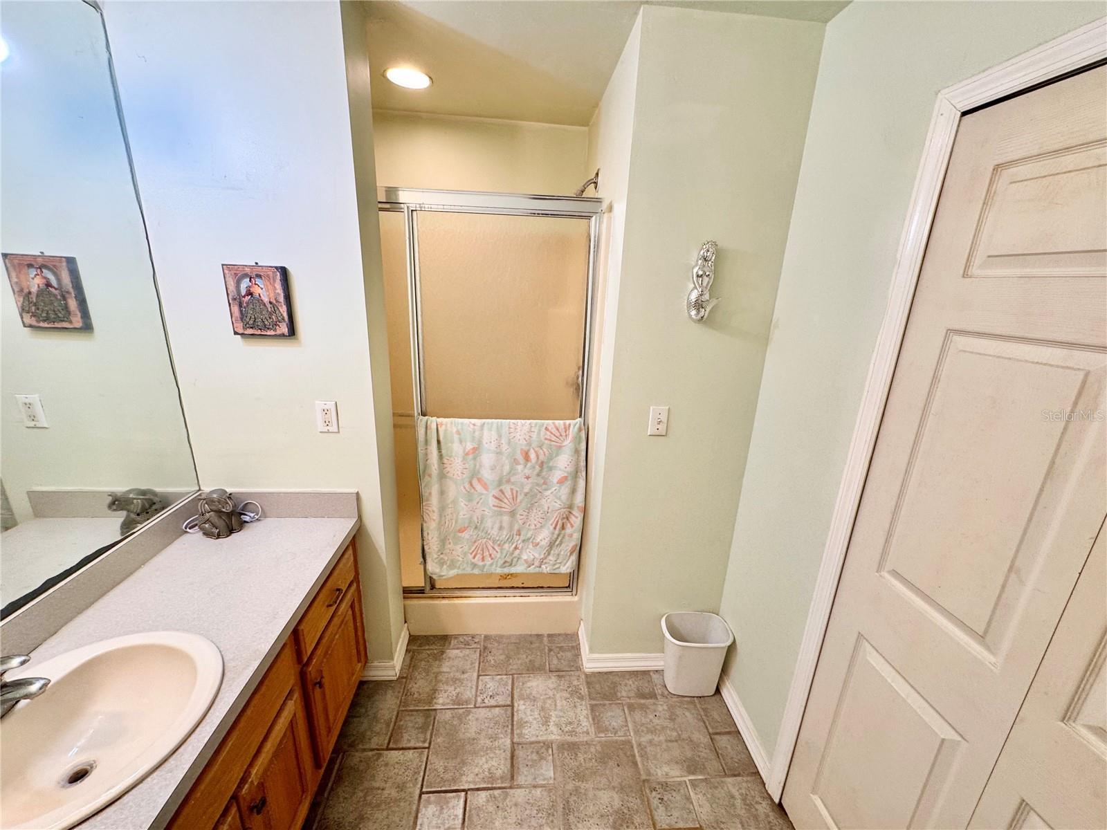 Image 16 of 44 For 528 Tabebuia Tree