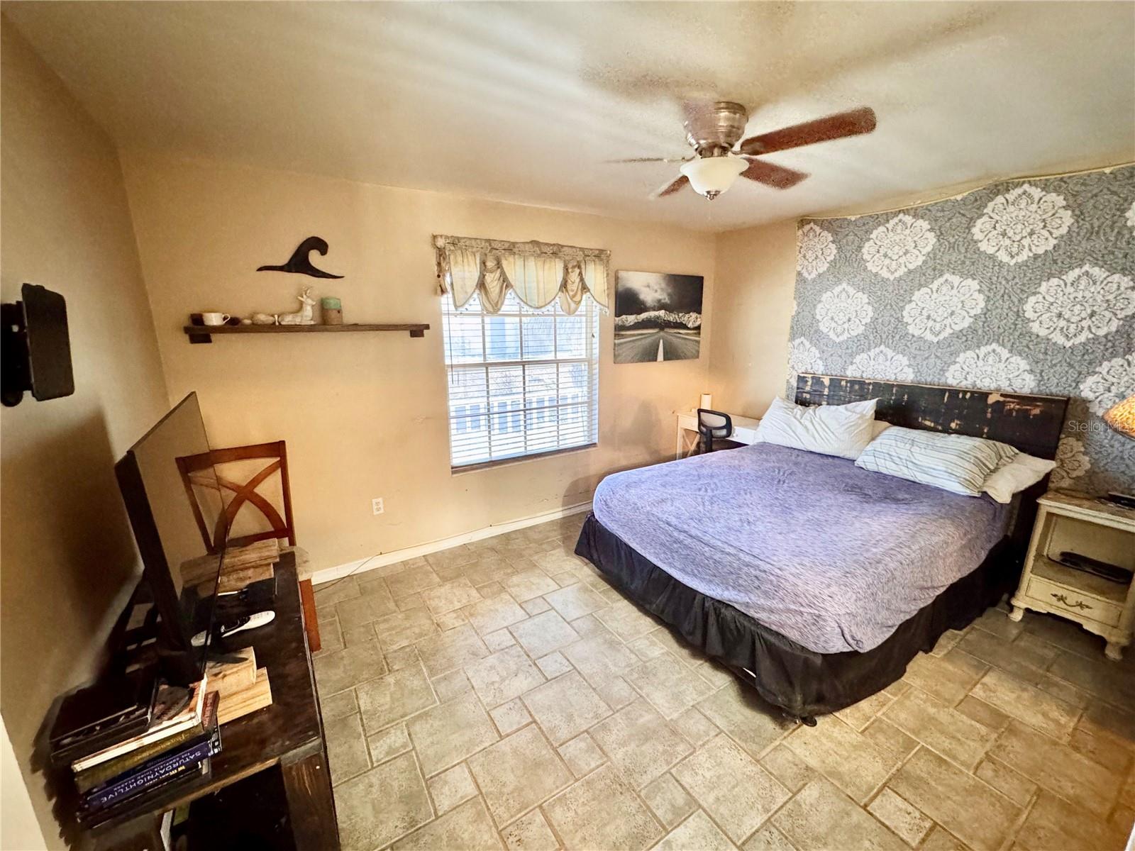 Image 19 of 44 For 528 Tabebuia Tree