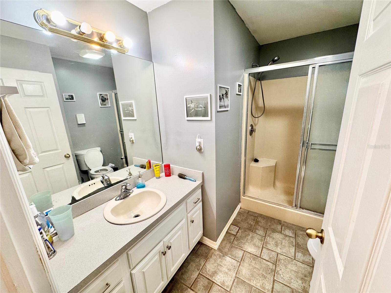 Image 21 of 44 For 528 Tabebuia Tree