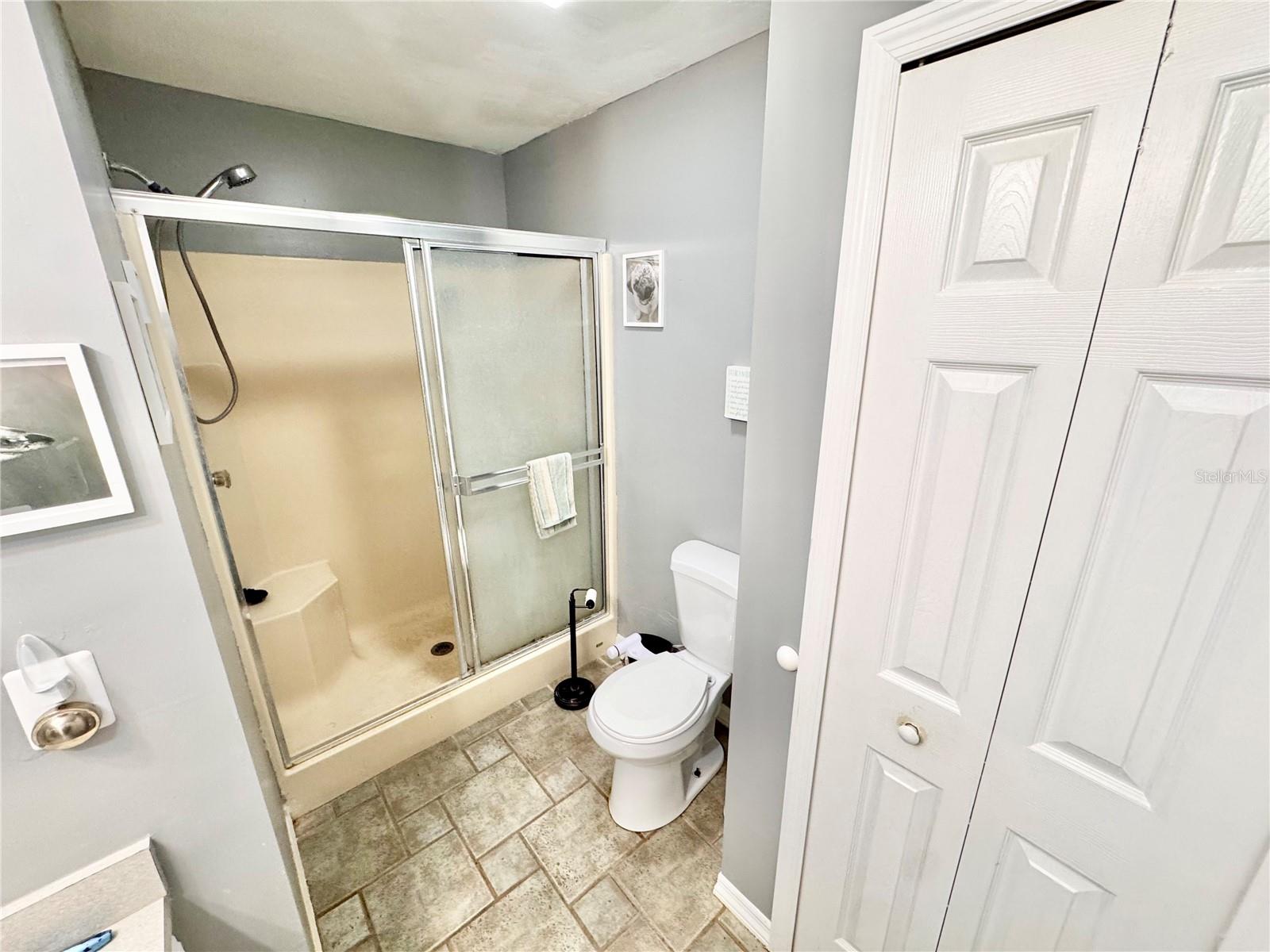 Image 22 of 44 For 528 Tabebuia Tree