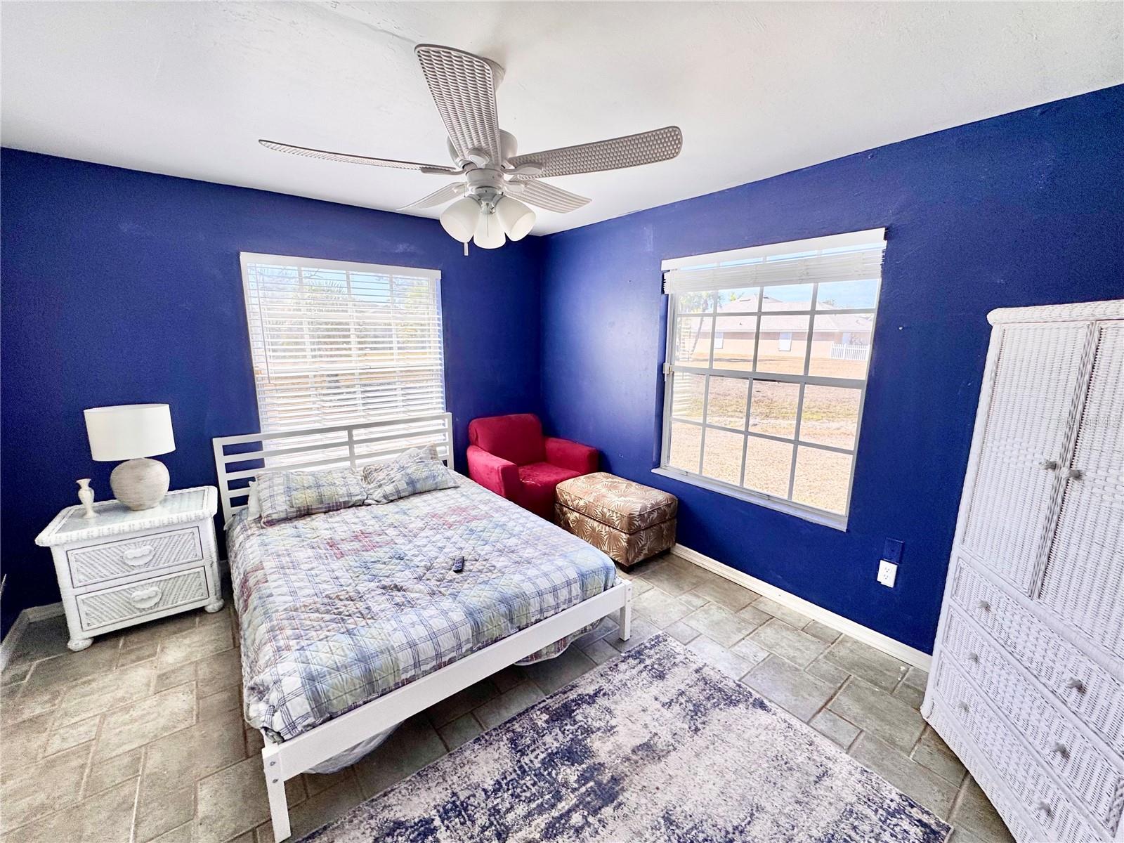 Image 23 of 44 For 528 Tabebuia Tree