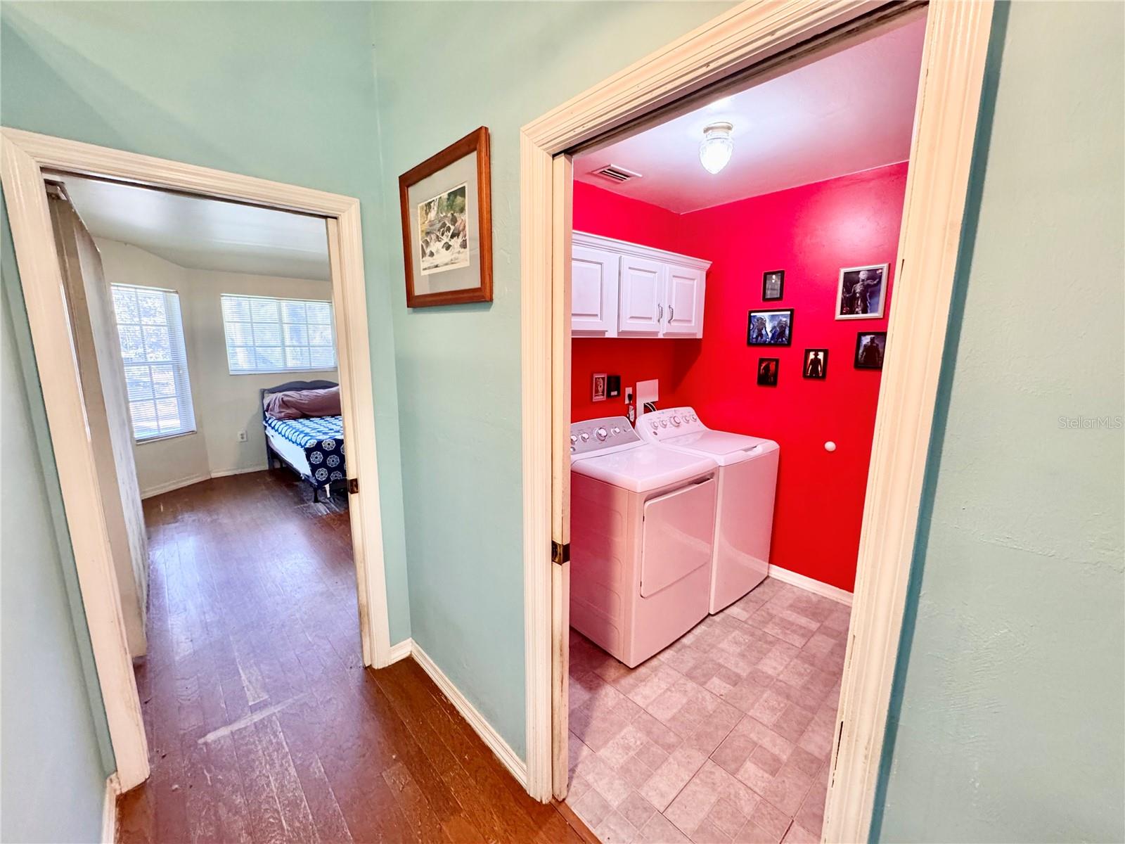 Image 25 of 44 For 528 Tabebuia Tree