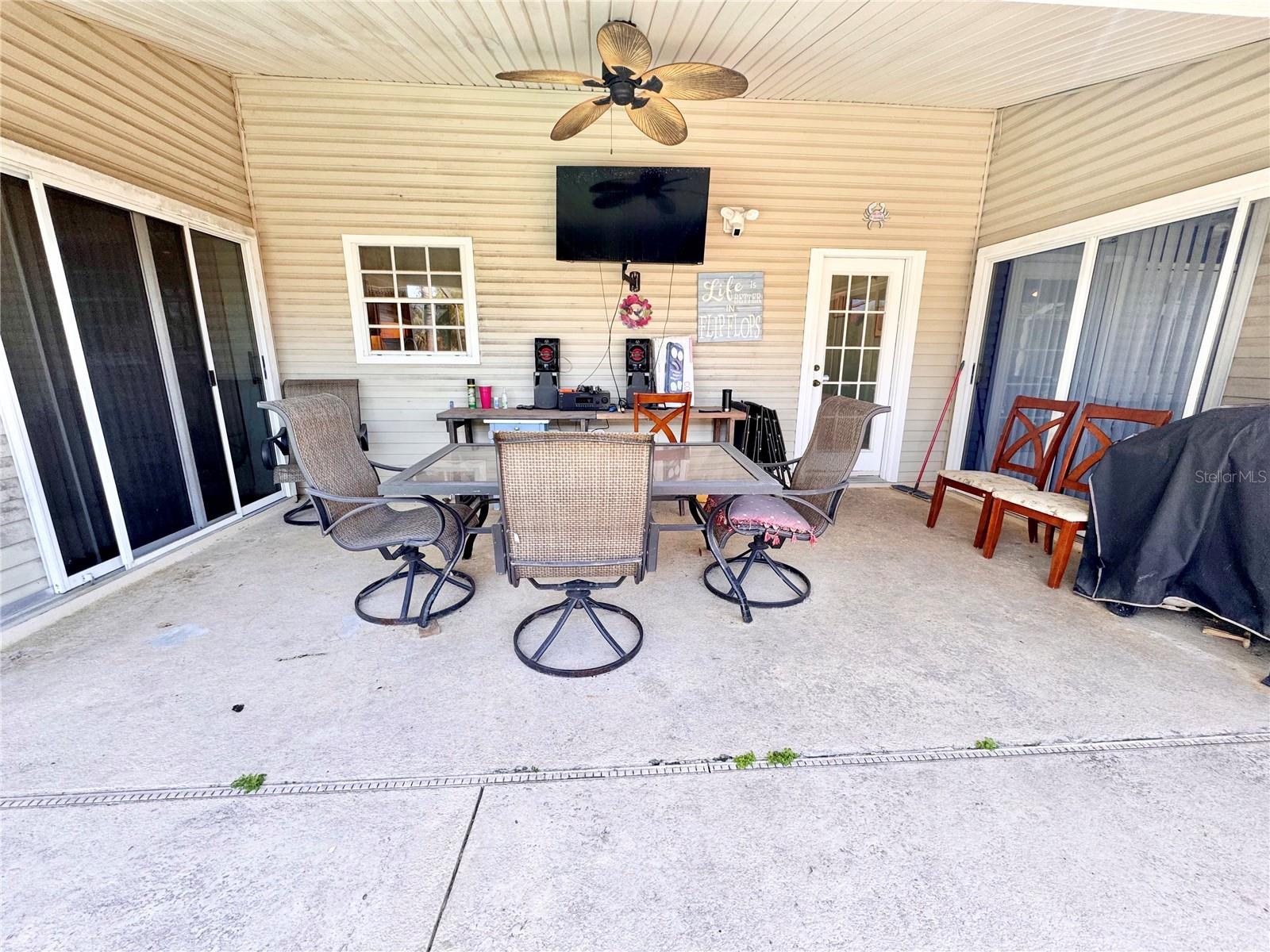 Image 27 of 44 For 528 Tabebuia Tree