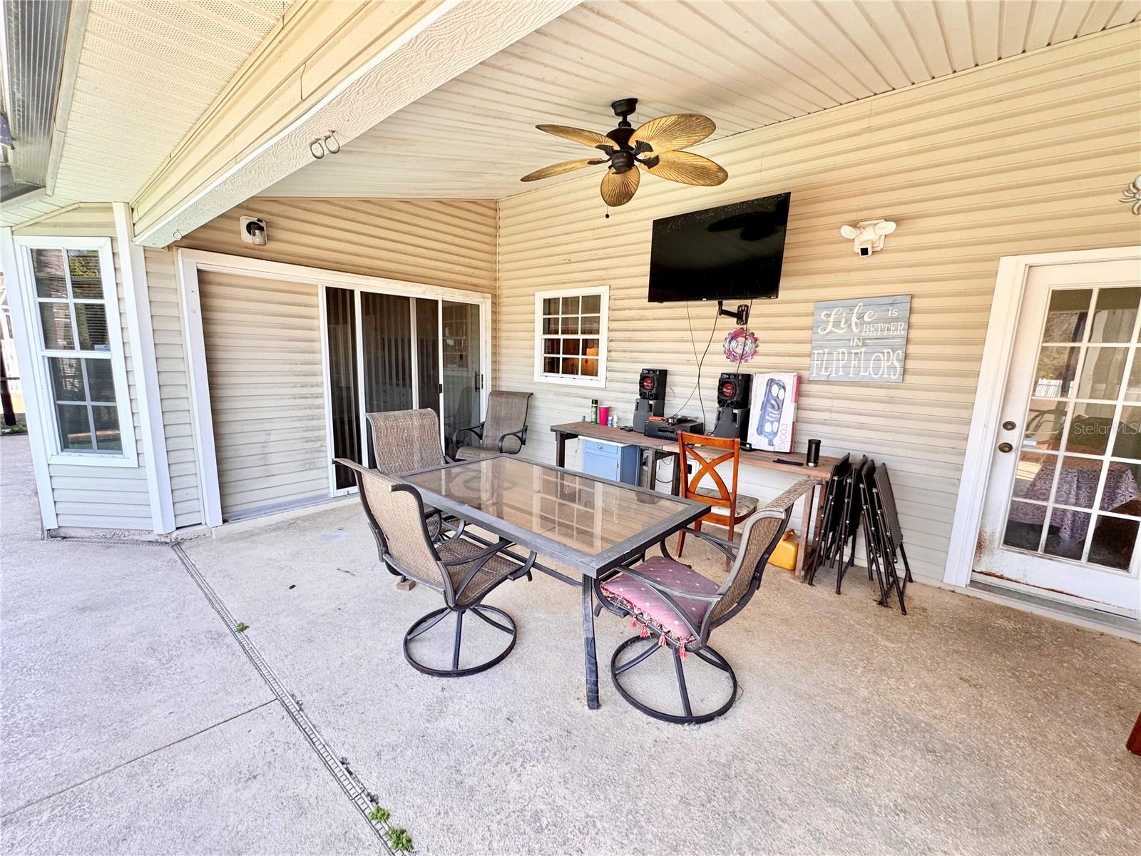 Image 28 of 44 For 528 Tabebuia Tree