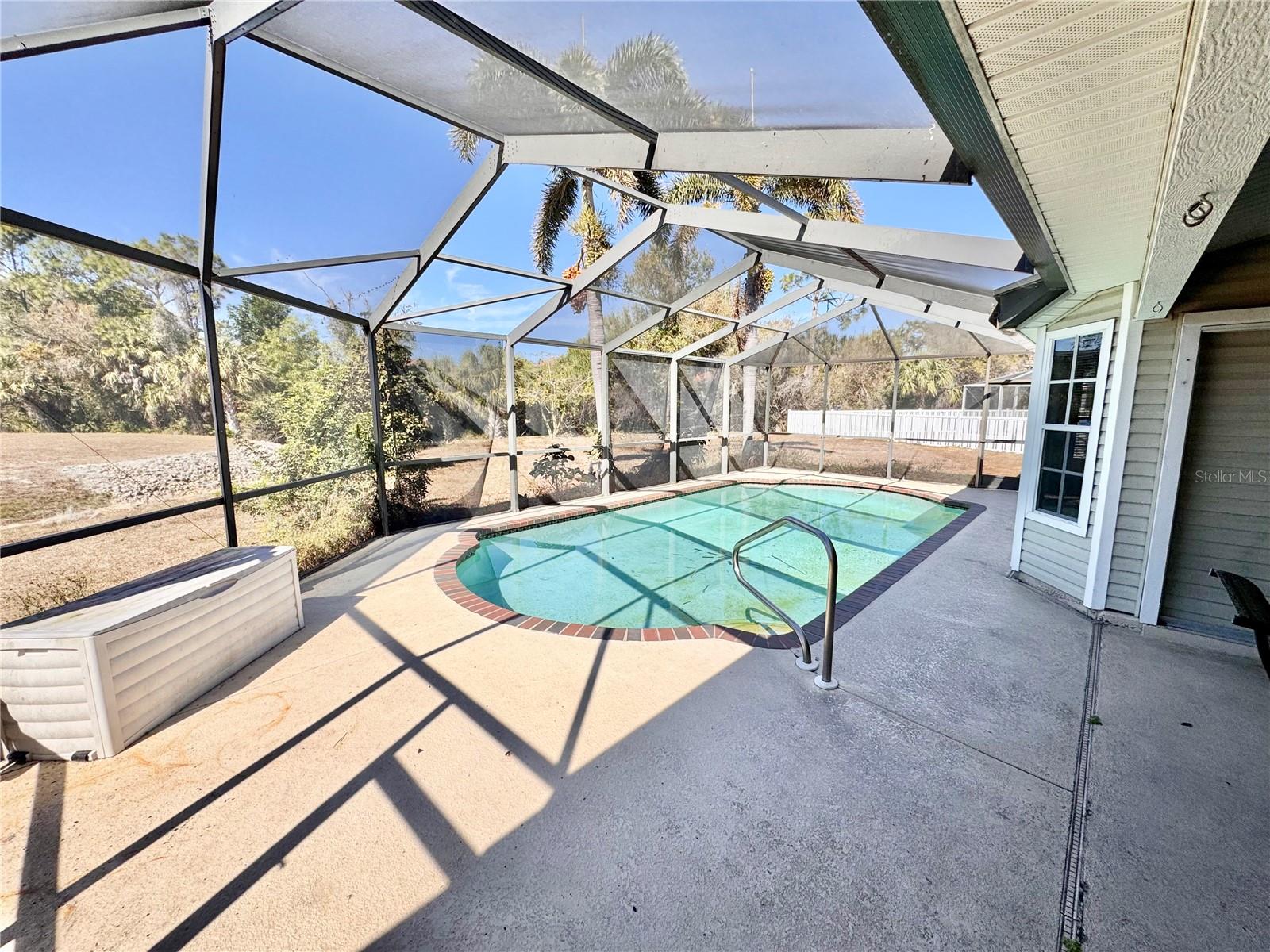 Image 30 of 44 For 528 Tabebuia Tree