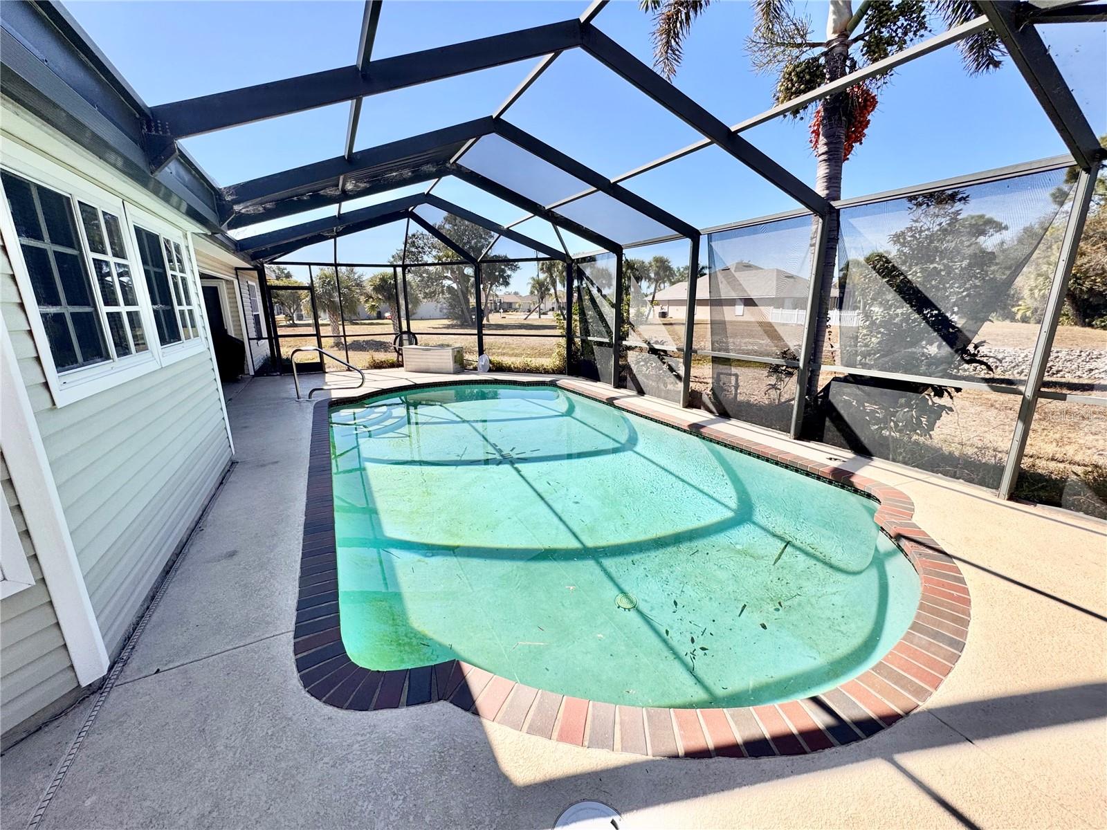 Image 32 of 44 For 528 Tabebuia Tree